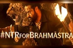 Brahmastra, Brahmastra budget, ntr turns chief guest for brahmastra event, Brahmastra telugu event