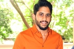 Naga Chaitanya updates, Naga Chaitanya updates, naga chaitanya signs a new flick, Premam