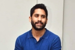 Naga Chaitanya, Naga Chaitanya lineup, change of plans for naga chaitanya, Vijay kanakamedala