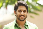 Naga Chaitanya new film, Naga Chaitanya next movie, naga chaitanya signs his next, Yuddham saranam