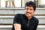 Nagarjuna 100th film, Nagarjuna upcoming projects, nagarjuna s 100th film will be a multi starrer, Wild dog