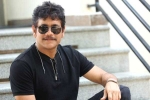 Nagarjuna news, Nagarjuna, nagarjuna s 100th film locked, Bangarraju