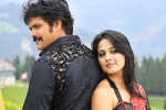 Company, Nagarjuna next, nag and anushka to team up, Om namo venkatesaya