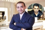 Nehal Deepak Modi new breaking, Nirav Modi's Brother, nirav modi s brother arrested in usa, Ipl 5