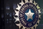 World Cup 2027, World Cup 2027 India Probables new updates, odi world cup 2027 probables decided by bcci, Ipl 2026