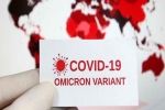 Anthony Fauci, WHO, omicron is no worse than other variants says us scientists, Omicron usa
