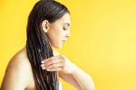 Overnight Hair Oiling research, Overnight Hair Oiling latest breaking, is overnight hair oiling right for you, Hair health