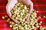 Pistachios advantages, Pistachios, pistachios are a perfect protein snack, California