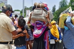 vikas khanna, migrant workers, plight of migrant workers baby shakes to wake up deceased mother, Todd