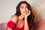 Pooja Hegde upcoming films, Pooja Hegde hits, pooja hegde in talks for a biggie, Siddharth roy kapur