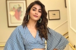 Pink remake, Pooja Hegde news, pooja hegde in pink remake, Taapsee