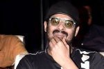 People Media Factory, Prabhas and Maruthi Film new updates, prabhas next film launched, Raja deluxe