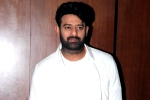 Malavika Mohanan, Prabhas movie budget, two beauties locked to romance prabhas, Raja deluxe