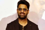 Prabhas Vintage King look, Prabhas Vintage King look, interesting title for prabhas next, Zarina wahab