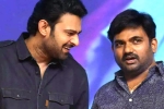 Prabhas and Maruthi film release date, Prabhas and Maruthi film news, new title for prabhas and maruthi film, Nidhhi agerwal Prabhas and Maruthi film release date, Prabhas and Maruthi film news, new title for prabhas and maruthi film, Nidhhi agerwal