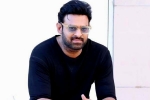 Prabhas, Project K, prabhas to return back to work, Ashwini dutt