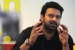 Prabhas next film, Prabhas movie updates, two young beauties in talks for prabhas next, Pelli sandad