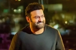 Salaar film updates, Prabhas news, prabhas back to the sets of salaar, Indian actors Salaar film updates, Prabhas news, prabhas back to the sets of salaar, Indian actors