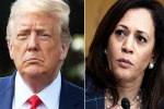 Amy Tripp breaking, Amy Tripp predictions, astrologer predictions about the new us president, Amy tripp