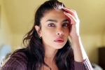 Don't Look For Virgin Wife comment, Don't Look For Virgin Wife comment, priyanka chopra breaks silence on don t look for virgin wife comment, Upcoming
