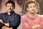 Nagarjuna, Akhil Akkineni, ram gopal varma to direct akhil, Rgv twitter