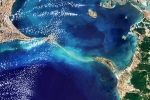 Ram Setu pictures, Ram Setu pictures latest, ram setu s pictures from the space, Birds