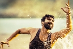 Samantha, Sukumar, ram charan s rangasthalam 1985 first look date, Dhruva