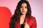 Rashmika and Manager controversy, Rashmika and Manager details, rashmika mandanna clears air, Animal film