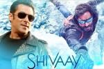 Shivaay, Salman Khan news, salman khan to promote shivaay, Big boss