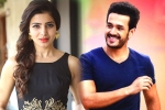 Agent, Samantha news, samantha and akhil to clash in august, Bollywood films