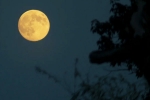 Supermoon 2025, Supermoon 2025 decoded, science behind supermoon explained, Beautiful