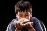 does smelling food increase insulin, weight loss, smelling high calorie food for 2 minutes can help you eat less study, High calorie food