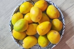 Soak Mangoes before eating, Soak Mangoes news, soak mangoes for 30 minutes before eating, Us journal