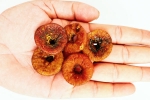 Soaked Anjeer news, Soaked Anjeer health benefits, can you take soaked anjeer every day, Elimination