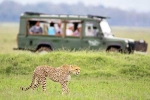 South African Safari Trip plan, South African Safari Trip, how to plan your south african safari trip, Reviews
