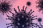 Omicron new updates, Omicron side effects, south african scientists about omicron variant, Communicable diseases