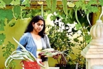 kerala, Qatar, this nri in qatar keen on farming is going green, B m kutty