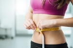 tips to lose belly fat, lose belly fat for christmas, tips to trim belly fat in 1 week before christmas, Flat stomach