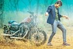 Raja Ravi new movie, Rashi Khanna., ravi teja s touch chesi chudu, Bengal tiger