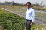 national center of organic farming waste decomposer, regional centre of organic farming panchkula, this u s return mba graduate is transforming a village barren land into an organic farming facility, Post graduate