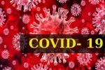 World Health Organization, World Health Organization, who renames the deadly coronavirus as covid 19, Snakes