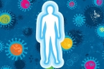 antiviral drug, body, how your body fights with coronavirus, Antiviral drug