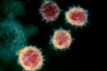 Mu variant news, Mu variant in Columbia, one more new variant of coronavirus traced in columbia, Anthony fauci