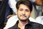 mahesh babu bank accounts, tollywood actor mahesh babu, actor mahesh babu s bank accounts frozen by gst dept over tax dues, Jayapradha